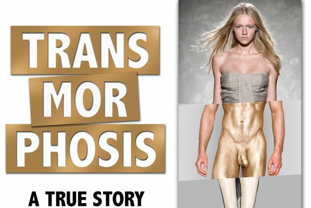 still / picture for TRANSMORPHOSIS