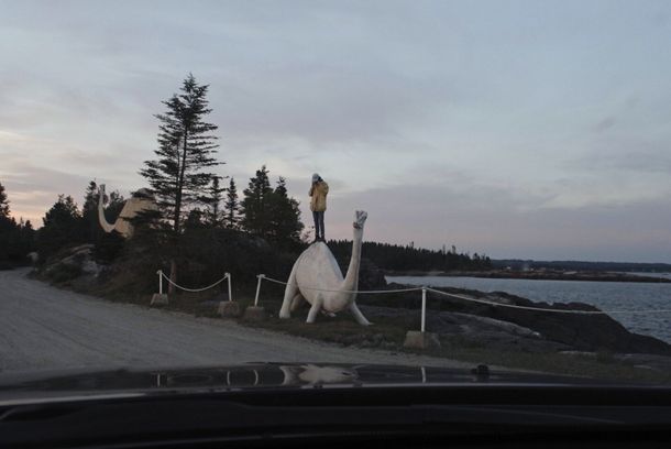 still / picture for Goodnight, Goodnight