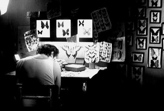 still / picture for ¡Ratas!