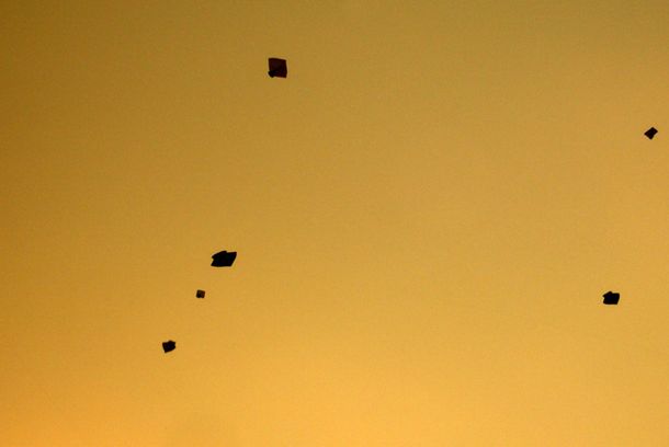 still / picture for Stray Kite