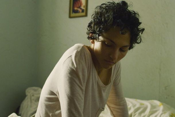 still / picture for El árbol magnético