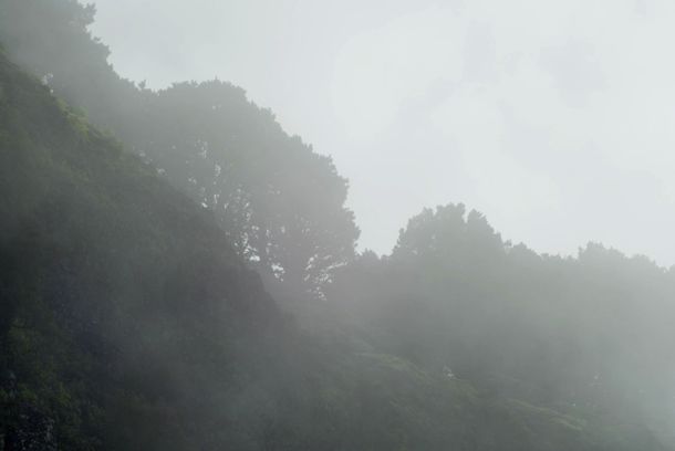 still / picture for Die Insel