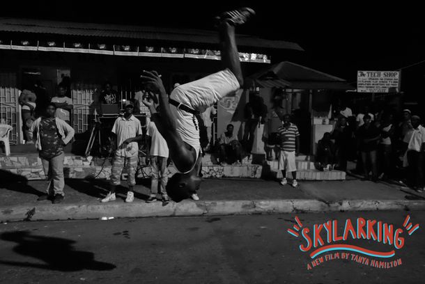still / picture for Skylarking
