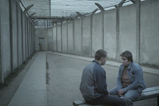 still / picture for Siamese