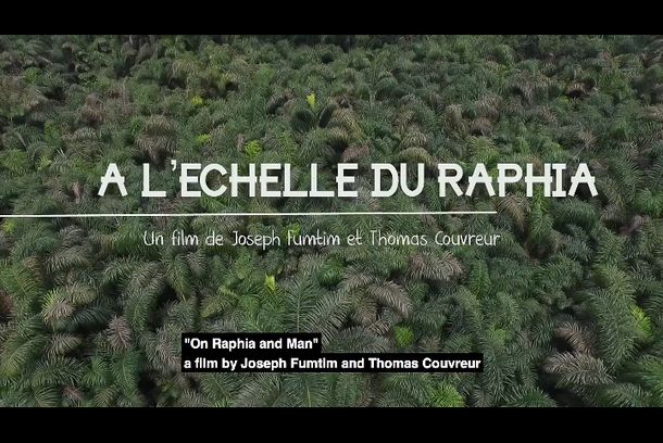still / picture for A l'echelle du raphia
