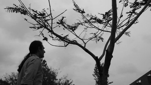 still / picture for Rutinas