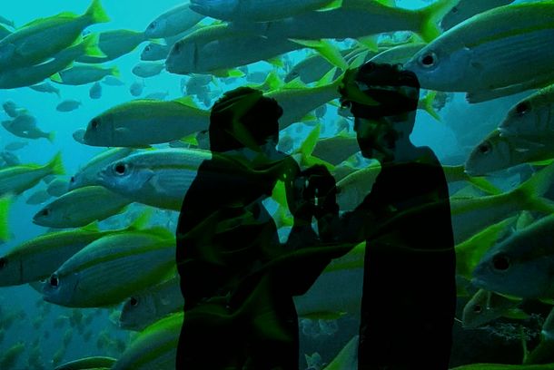 still / picture for Shining Moon Director's Cut