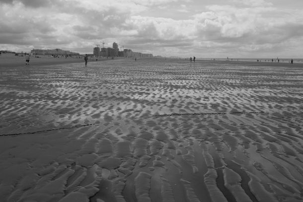 still / picture for TOURIST