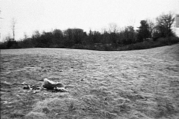 still / picture for Infitar