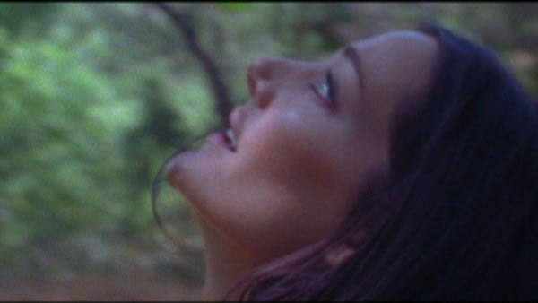 still / picture for WAKE 