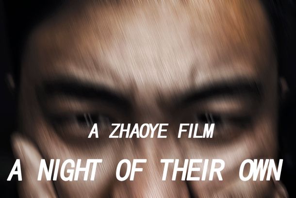 still / picture for A Night Of Their Own