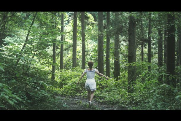 still / picture for The Last Dream