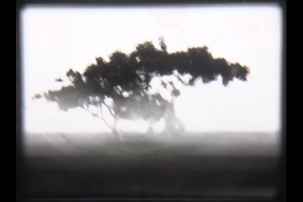 still / picture for Frenesi
