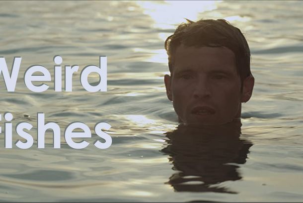 still / picture for Weird Fishes