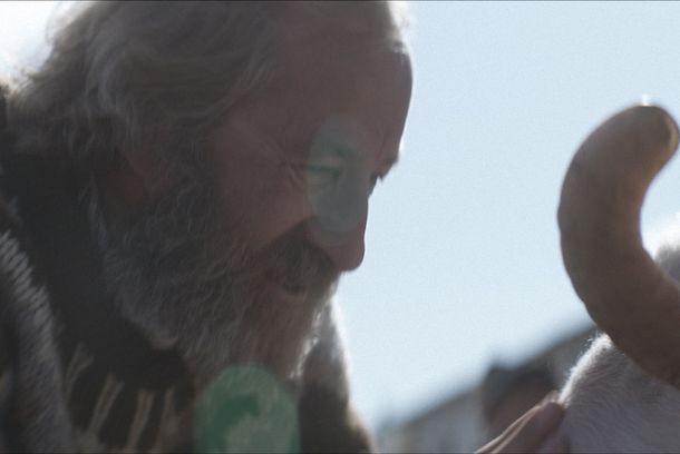 still / picture for Hrútar