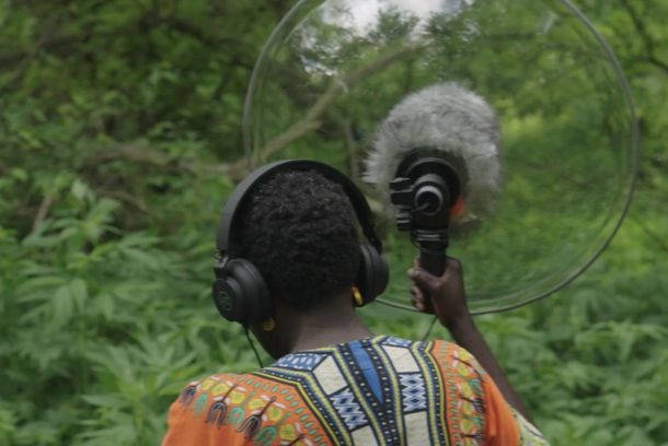 still / picture for The Trees Are Hissing