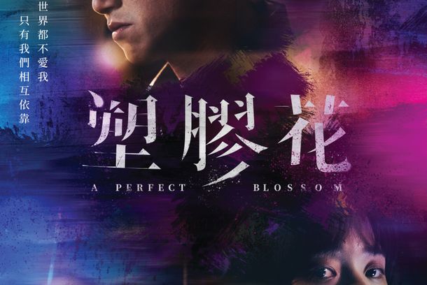 still / picture for 塑膠花