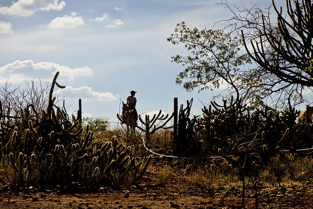still / picture for Filho de Boi