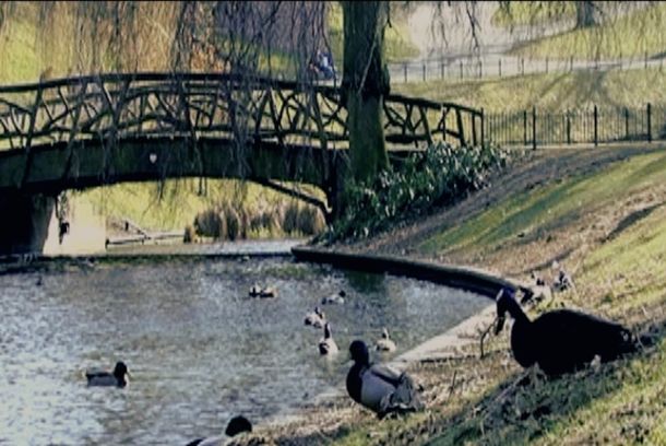still / picture for The Pond