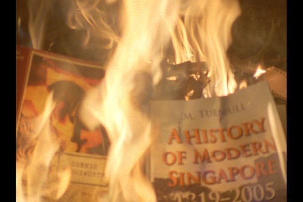 still / picture for Snakeskin