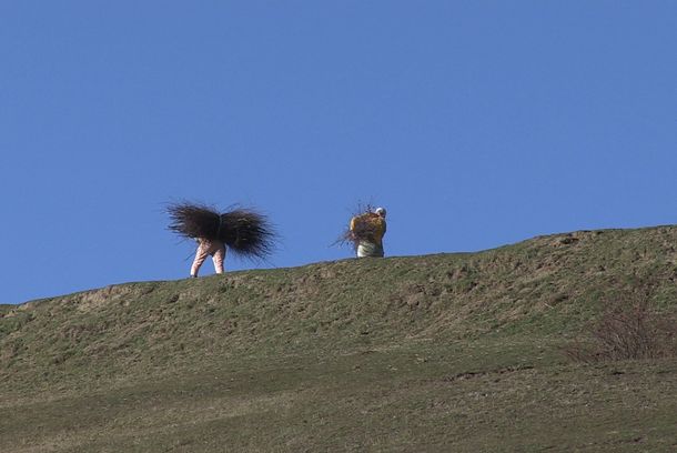 still / picture for Gora