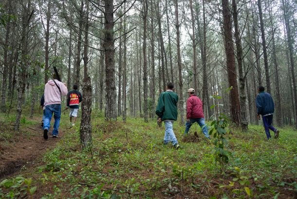 still / picture for Las fauces