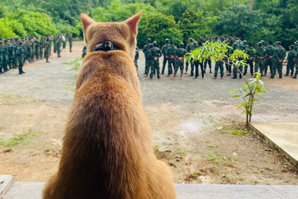 still / picture for ရဲဘော်ပူပီ