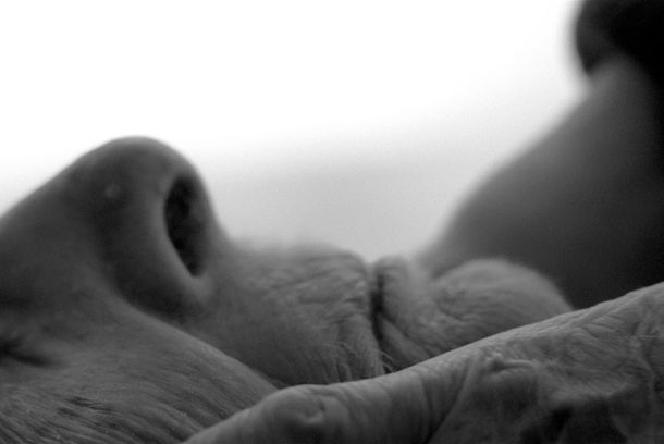 still / picture for WIR STERBEN - WE DIE