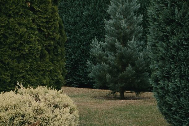 still / picture for Wallenhorst