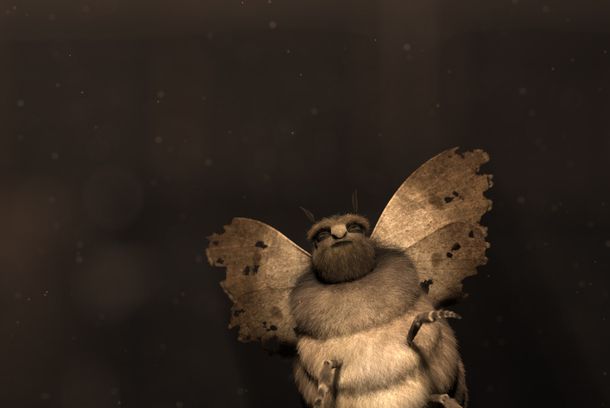 still / picture for Bogan Moths
