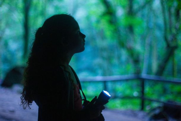 still / picture for Bicho Monstro