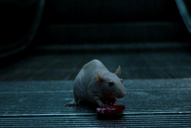 still / picture for Últimos Pasajeros
