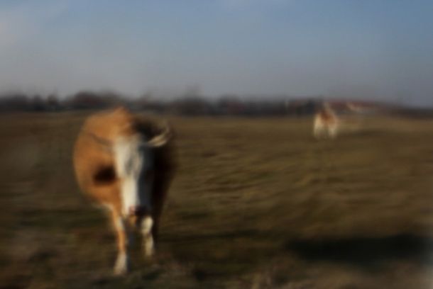 still / picture for Distance / Távolság