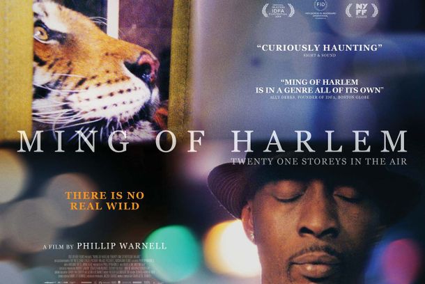 still / picture for Ming of Harlem. 21 Storeys in the Air.