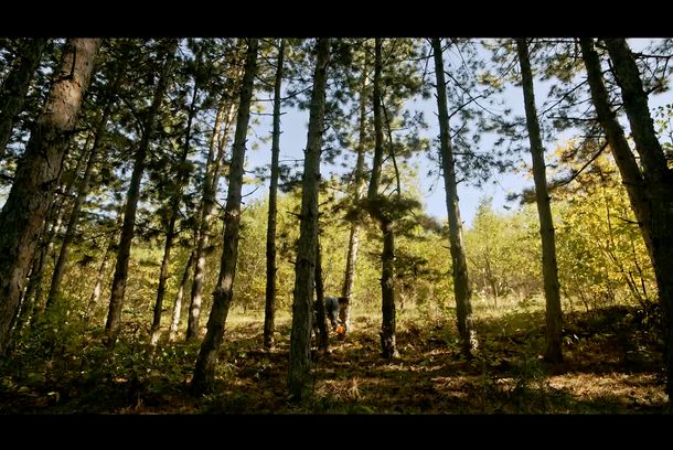 still / picture for Siguran posao