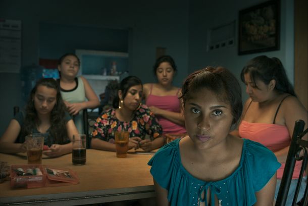 still / picture for LA PALOMA Y EL LOBO