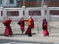 still / picture for UB Lama