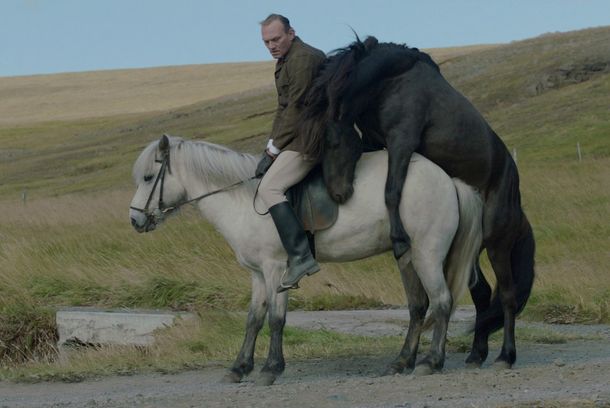 still / picture for Hross í oss