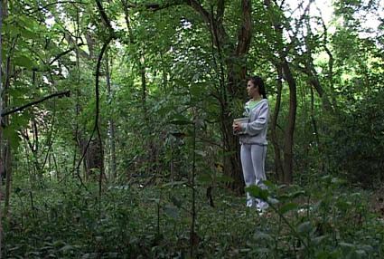 still / picture for Caro Verde