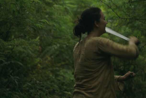 still / picture for The Island 