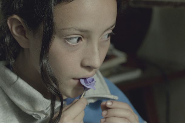 still / picture for ALBA