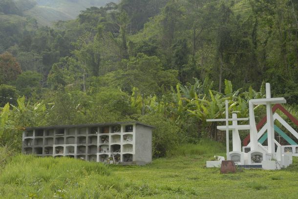 still / picture for Vacas / Cows