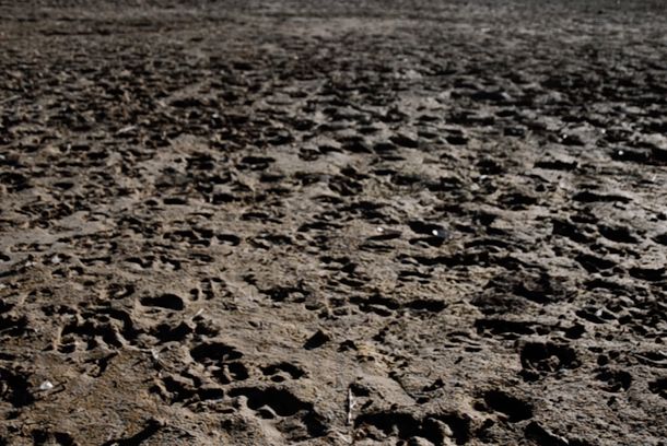still / picture for Водата