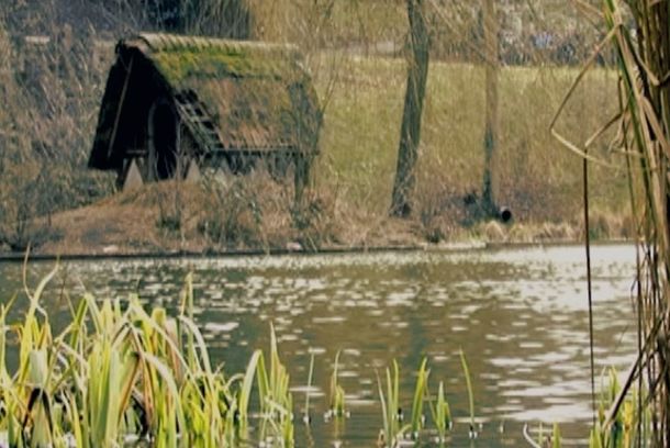 still / picture for The Pond
