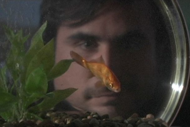 still / picture for Ode to Lost Love