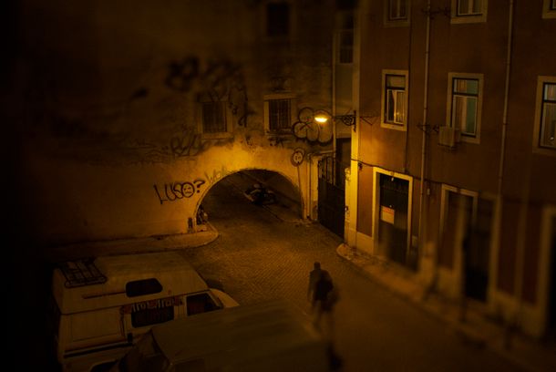 still / picture for A Rosa Nasce Nas Pedras