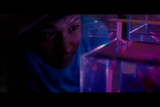 still / picture for Dancing Colors