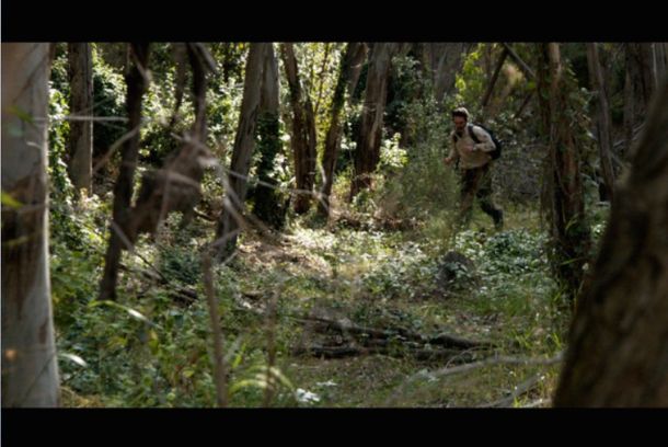 still / picture for El Forestal