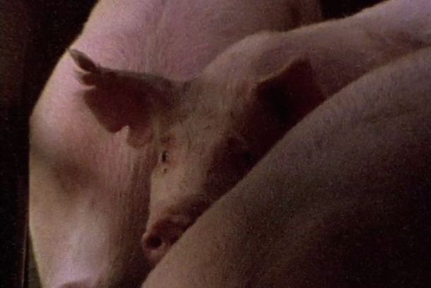 still / picture for ¿Olvida usted algo?