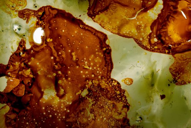 still / picture for Angle mort 